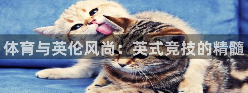 谈球吧