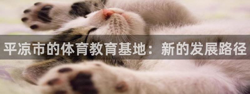 谈球吧