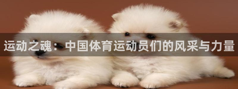 谈球吧体育