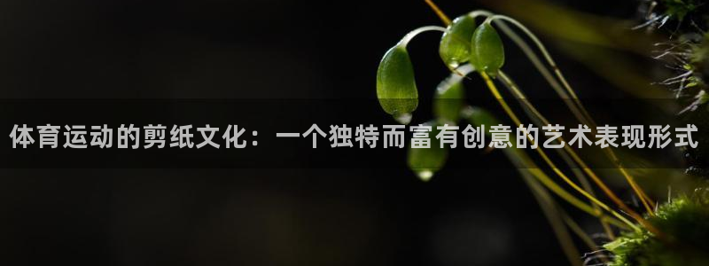谈球吧