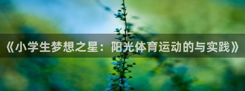 谈球吧体育：《小学生梦想之星：阳光体育运动的与实践》