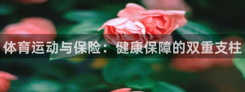 谈球吧体育