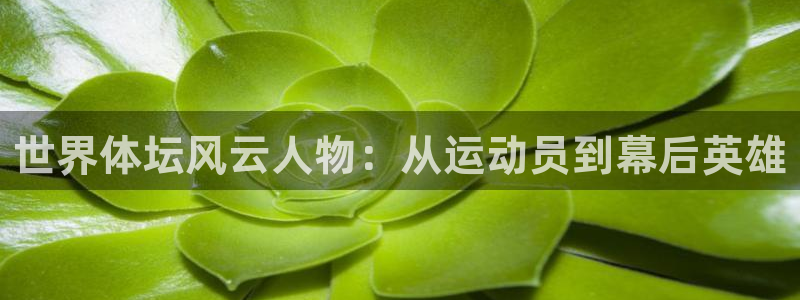谈球吧体育官网