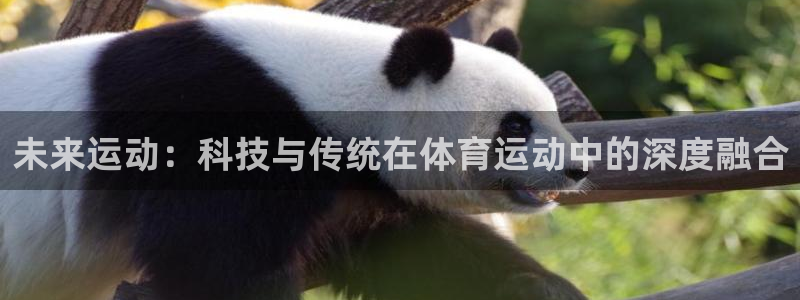 谈球吧体育官网：未来运动：科技与传统在体育运动中的深度融合