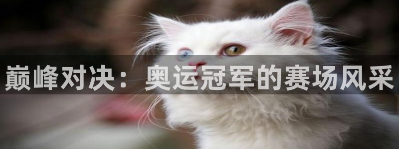 谈球吧体育官网：巅峰对决：奥运冠军的赛场风采