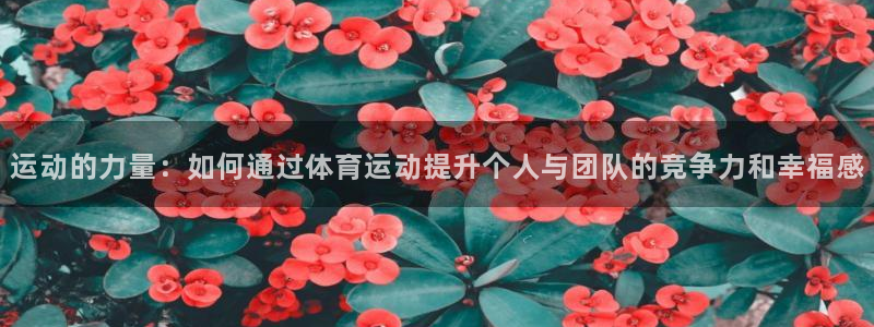 谈球吧体育官网