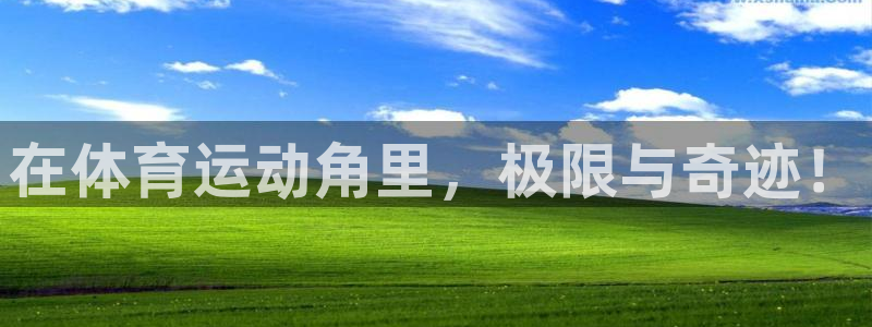 谈球吧：在体育运动角里，极限与奇迹！