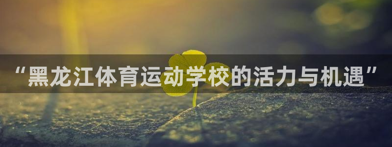 谈球吧：“黑龙江体育运动学校的活力与机遇”
