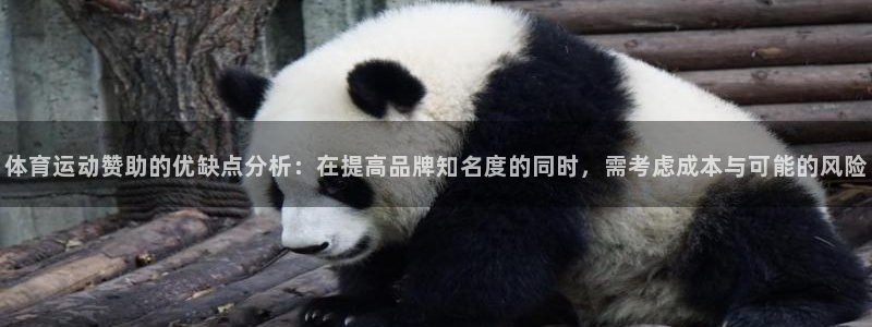 谈球吧体育官网：体育运动赞助的优缺点分析：在提高品牌知名度的同时，需考虑成本与可能的风险